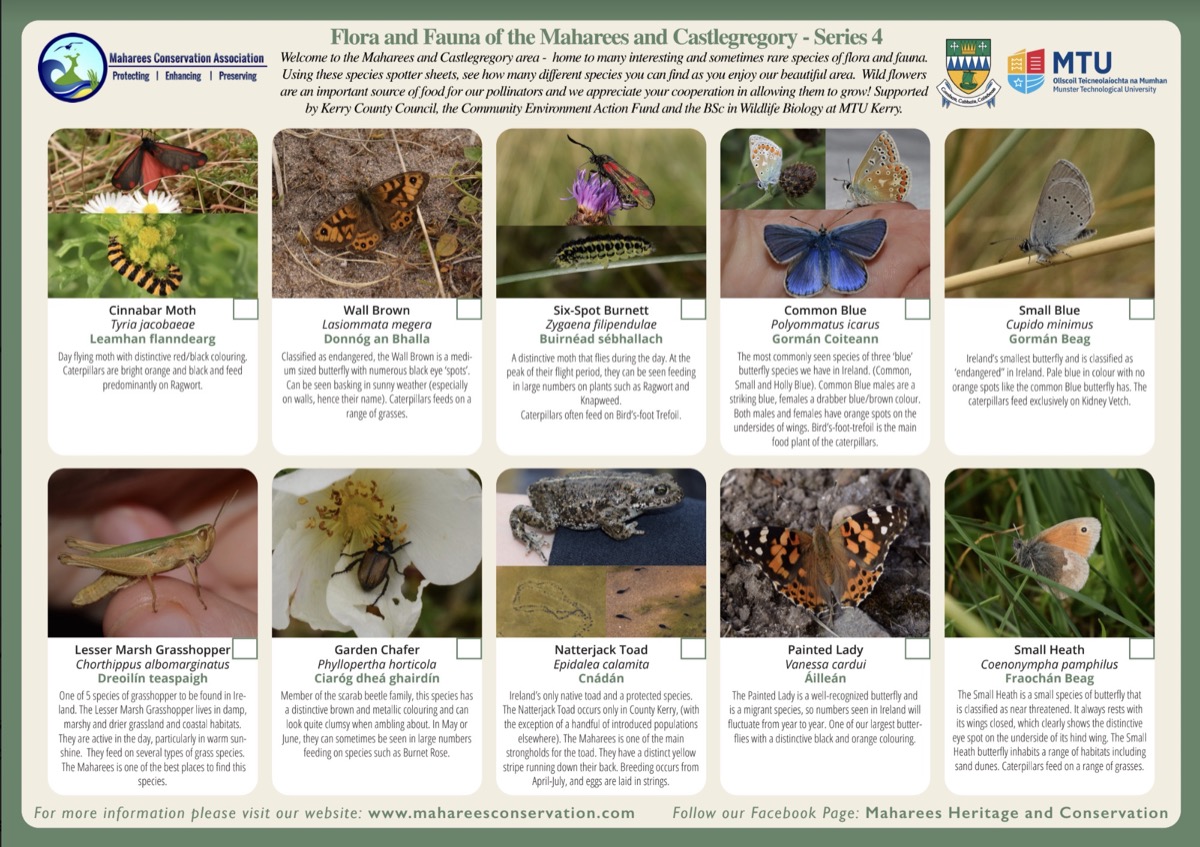 Flora & Fauna 2