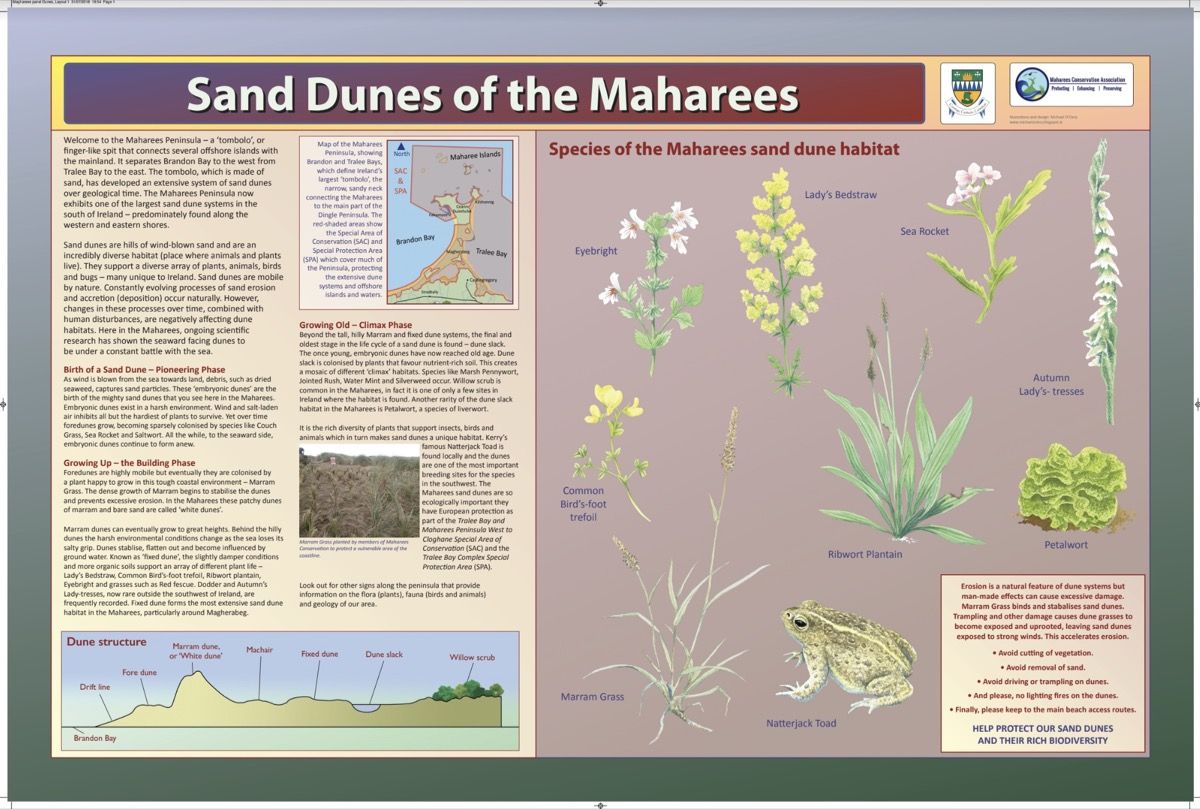 Sand Dunes Guide