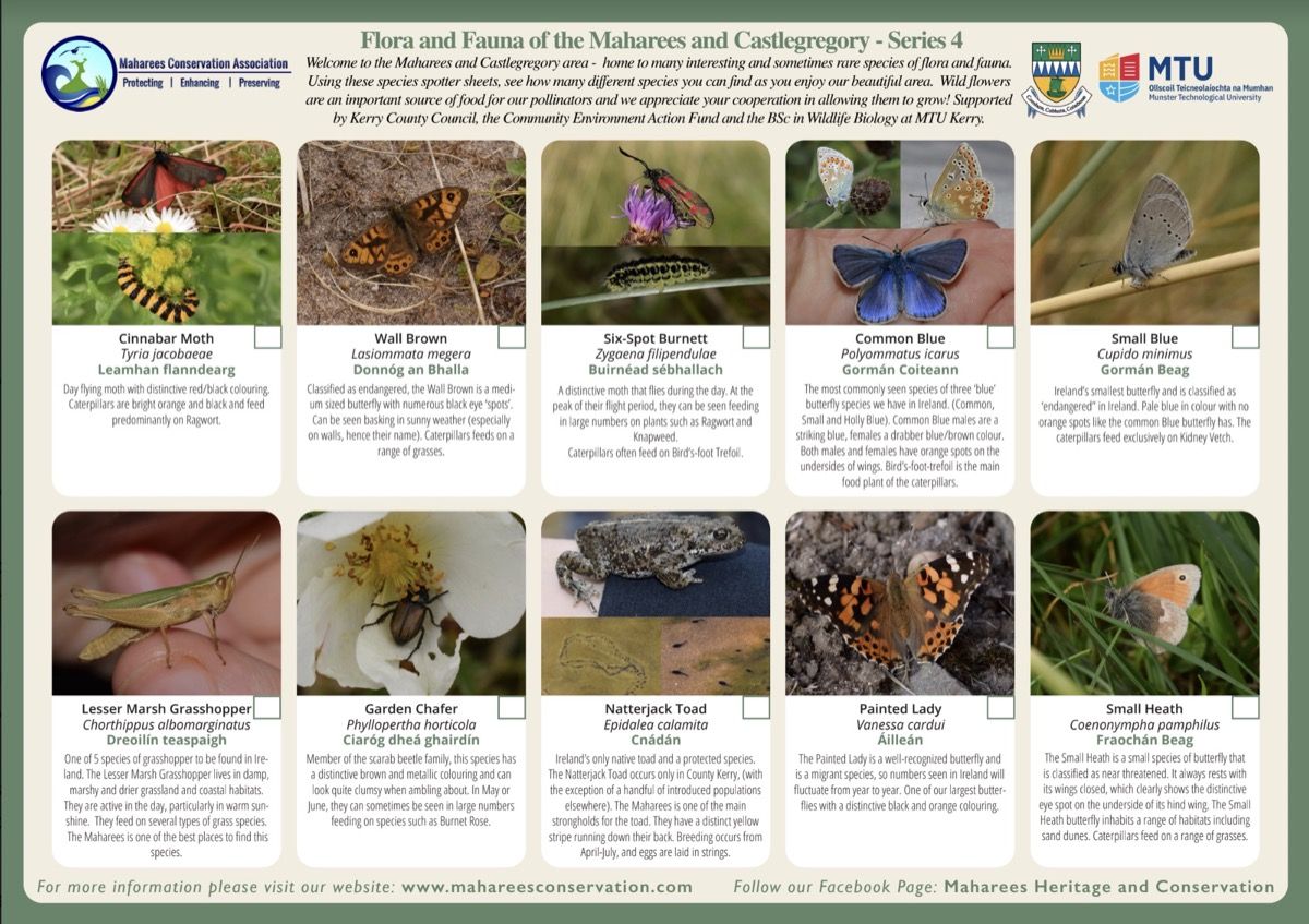 Flora & Fauna 2